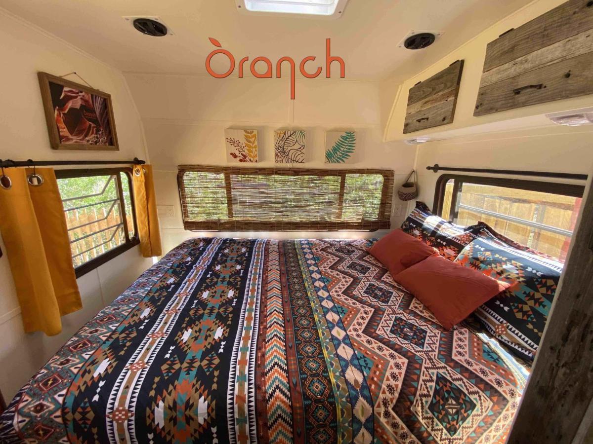 Oranch House, & Wilderness Apartment *